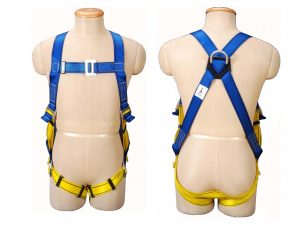 3M PROTECTA 1390010 First Safety Harness with Back D Ring